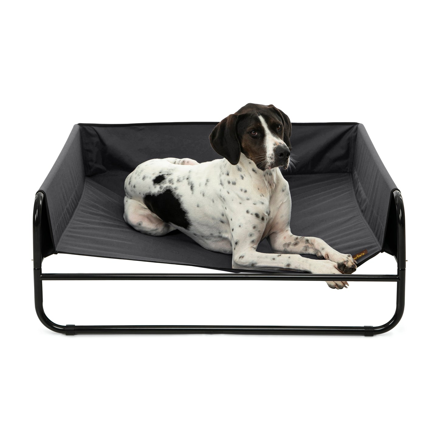 High Walled Outdoor Trampoline Pet Bed Cot - Black Charlie's Pet Products