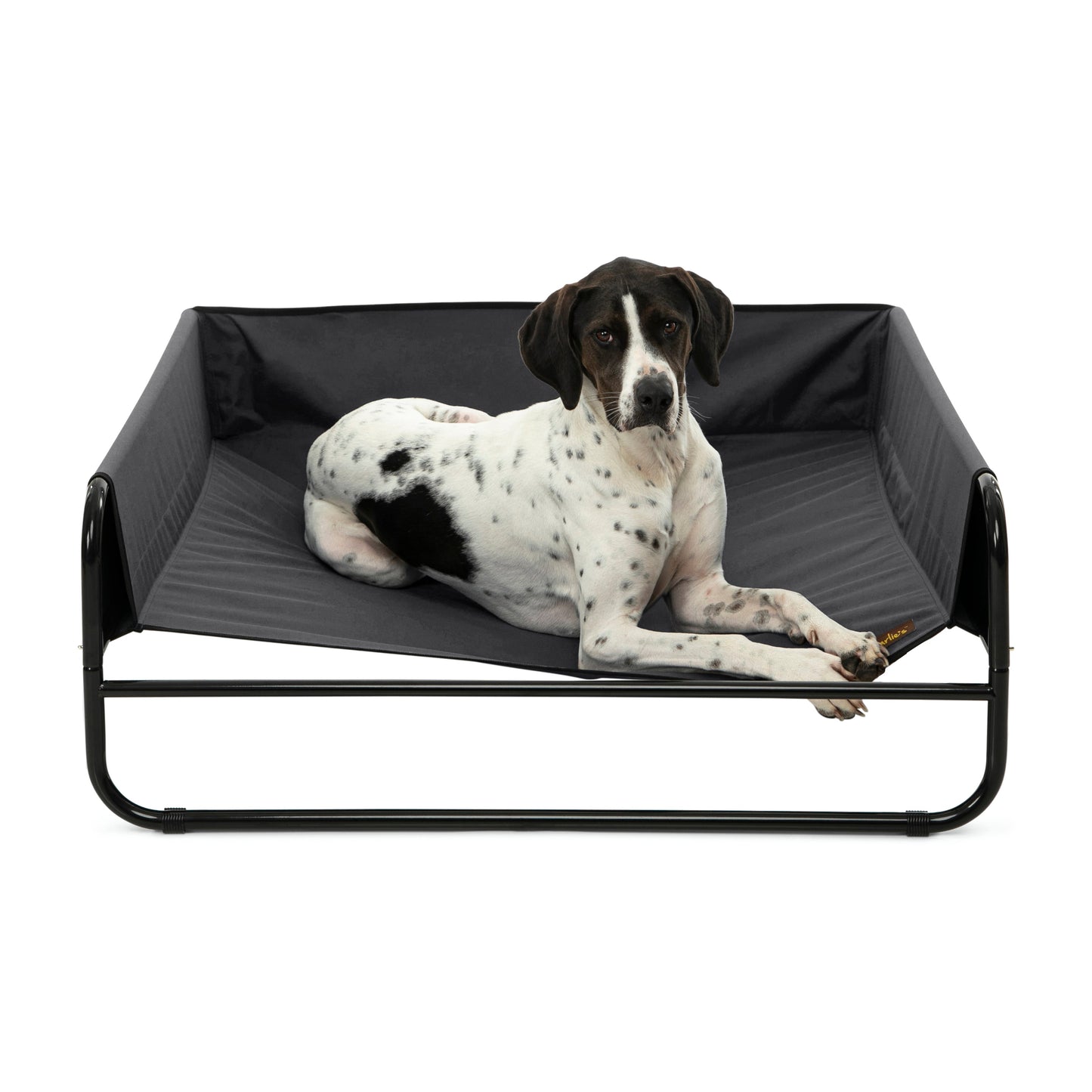 High Walled Outdoor Trampoline Pet Bed Cot - Black Charlie's Pet Products